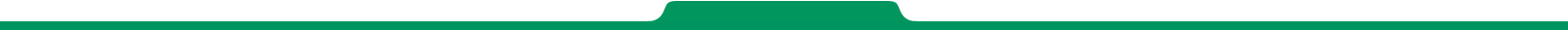 Image footer
